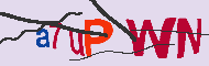 Captcha認証コード